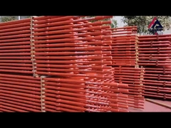 सर्पेन्टाइन कुंडलियाँ